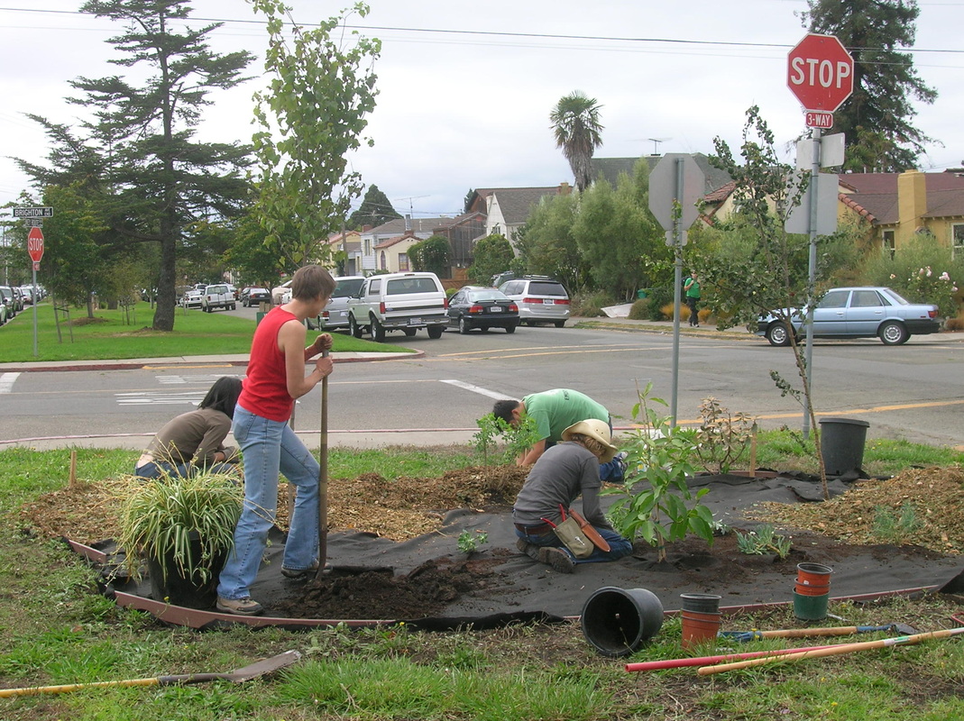 Community Garden